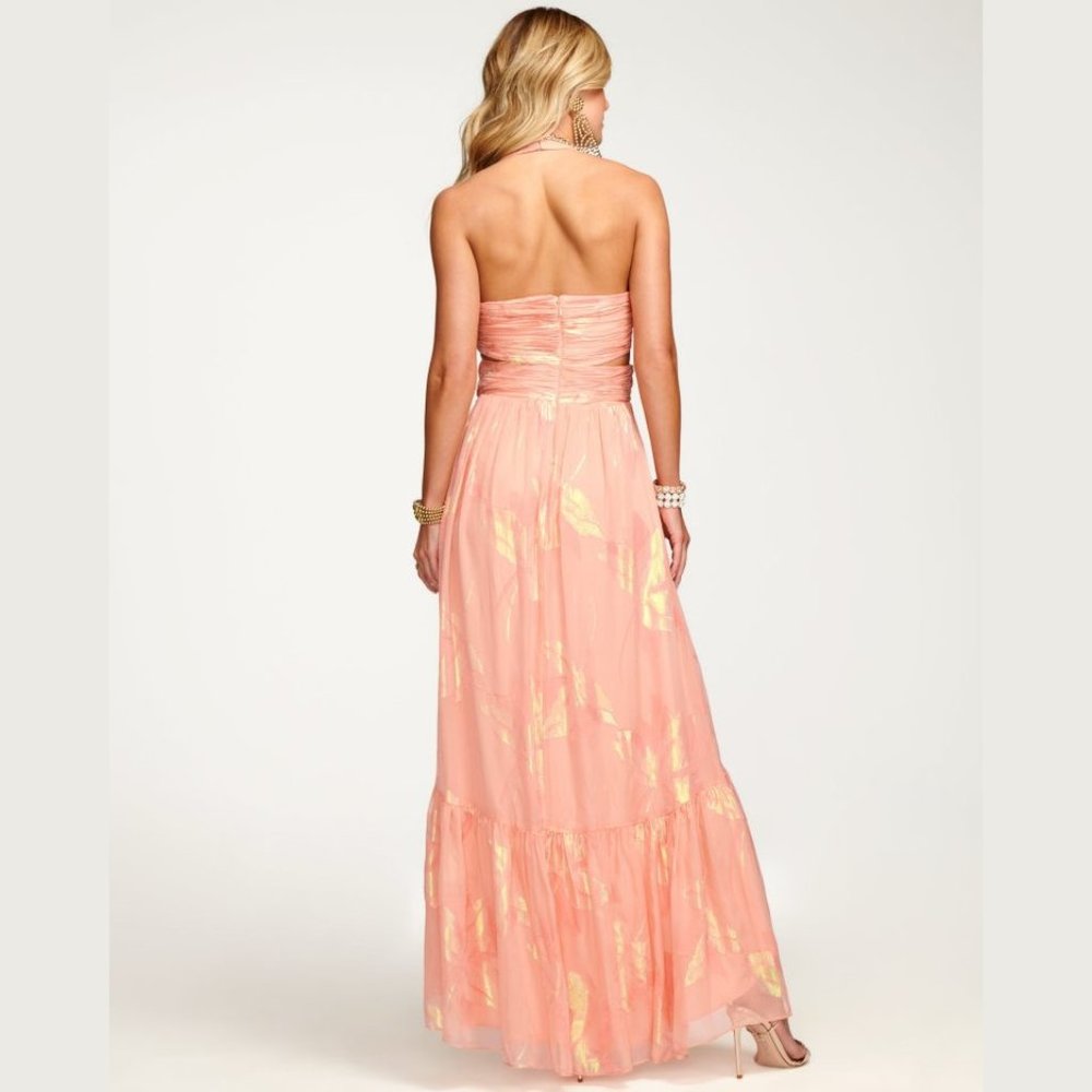 NEW Ramy Brook Sizes 6, 8 Women's Anabelle Cutout Maxi Dress - Deco Rose - Picture 4 of 4